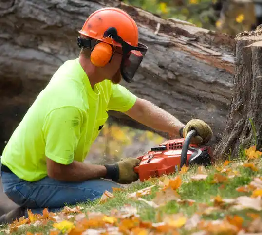 tree services Moss Bluff